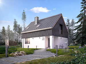Projekt domu Groszek