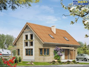 projekt Magnolia 2