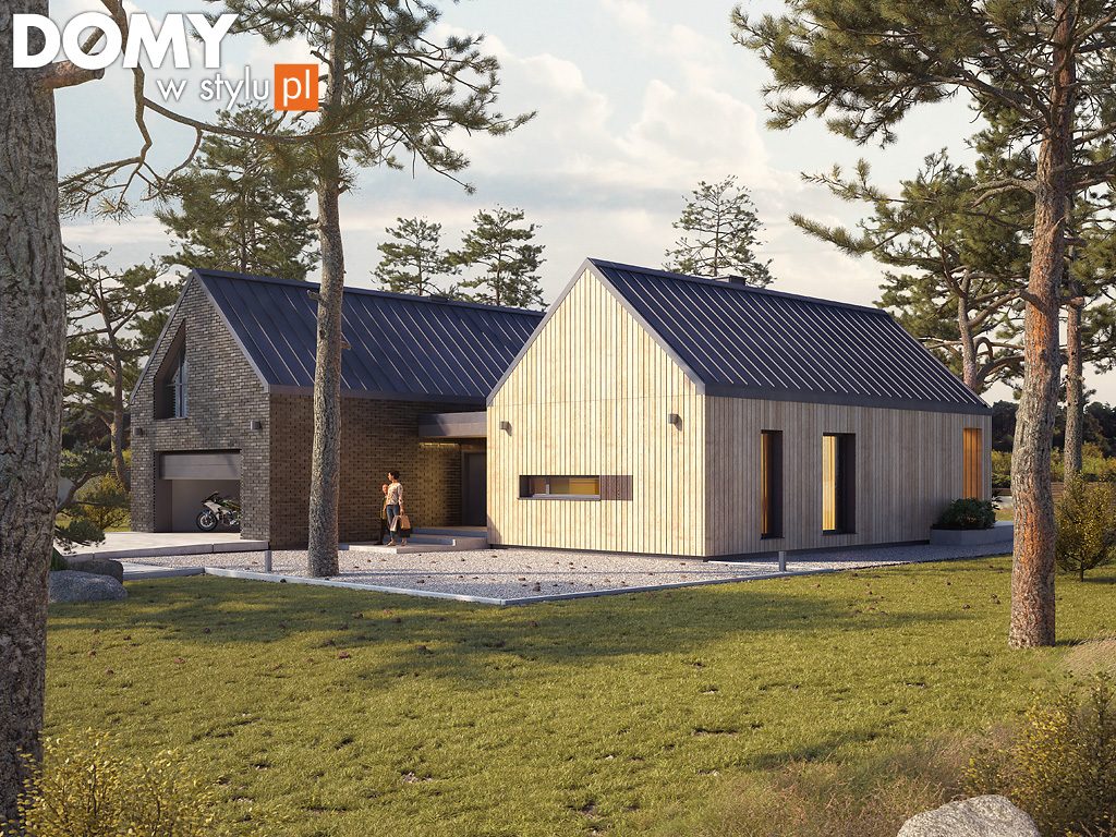 Projekt domu Katamaran