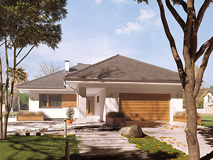 Projekt domu Kiwi 5