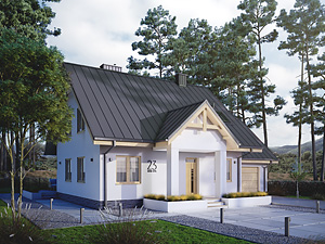 Projekt domu Pliszka