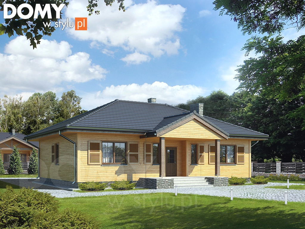 Projekt domu parterowego drewnianego Borówka 2 dr-S - wizualizacja frontowa