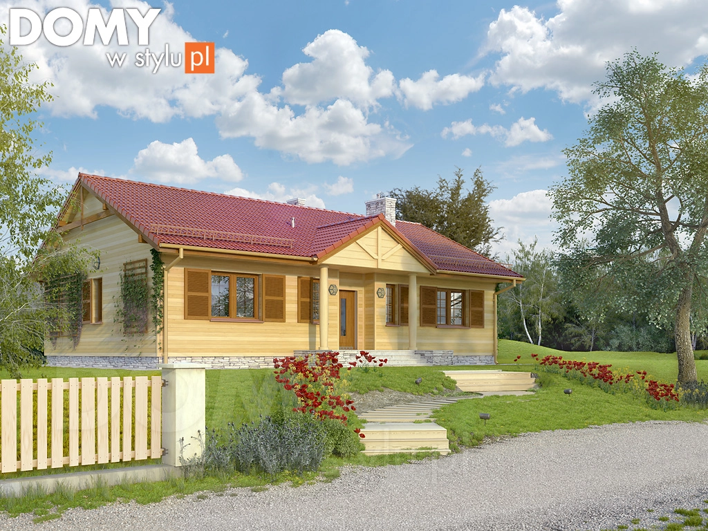Projekt domu parterowego drewnianego Borówka 6 dr-S - wizualizacja frontowa