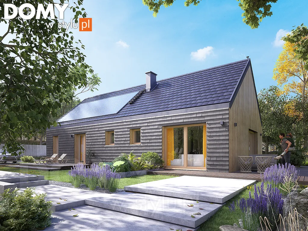 Nowoczesny projekt domu parterowego Paproć 4 - wizualizacja frontowa - lustrzane odbicie