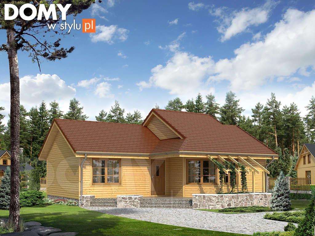 Projekt domu parterowego drewnianego Szyper dr-S - wizualizacja frontowa