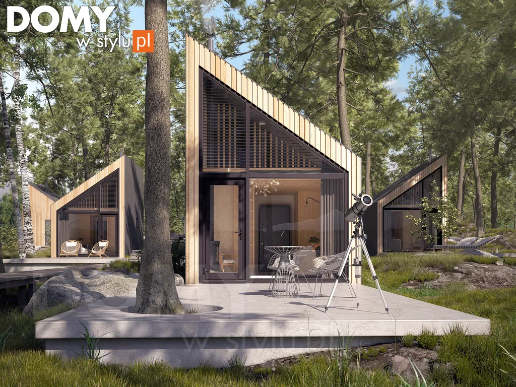 Nowoczesny projekt domu letniskowego drewnianego Szyszka dr-S - wizualizacja frontowa - lustrzane odbicie