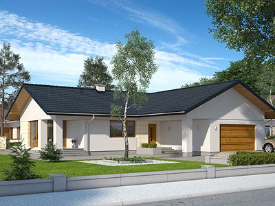 Projekt domu Antracyt NF40