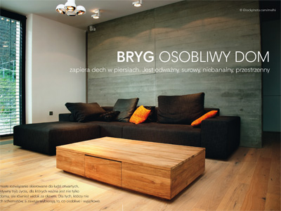 Osobliwy dom - Bryg