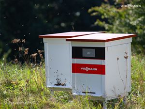 Pasieka Viessmann już po pierwszym miodobraniu