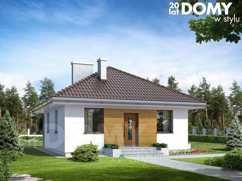 Wizualizacja projektu Imbir