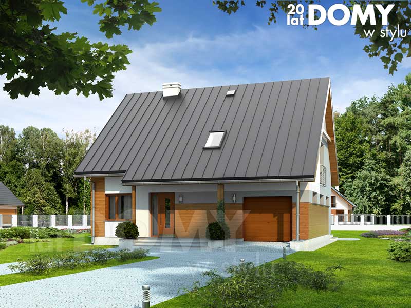 Wizualizacja projektu Imbir