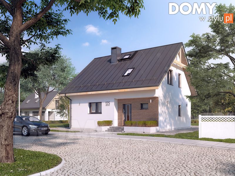 Wizualizacja projektu Ceres